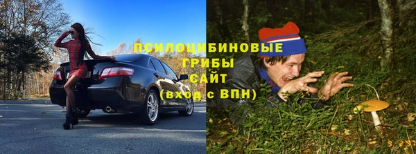 МДПВ Алексин