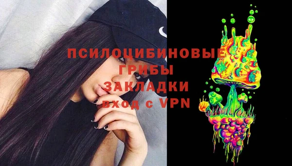 МДПВ Алексин