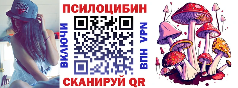блэк спрут зеркало  Ковылкино  Псилоцибиновые грибы мицелий 