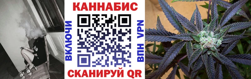 сколько стоит  Ковылкино  Бошки марихуана SATIVA & INDICA 